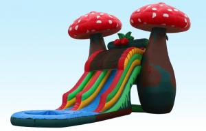 Amazing Special 23Ft Mushroom Inflatable Water Slides With Small Pool For Party