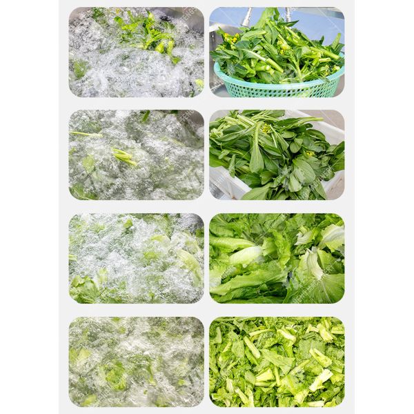 1.1KW Commercial eddy current bubble washing machine ozone multifunctional vegetable washing machine