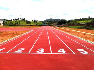 13mm PU Sports Flooring For Synthetic Athletic Track