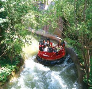 Canyon Drift Kids Amusement Rides Equipment 600kw For Theme Park