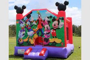 China Commercial Adult Bouncy Castles Outdoor Party Indoor Sale Child Inflatable Bouncy Castle on sale