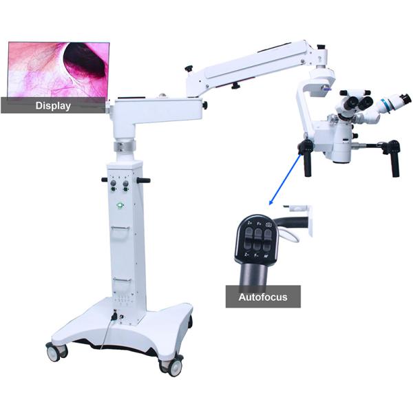 Dual Head Neurosurgery Brain Surgery ENT Operating Microscope