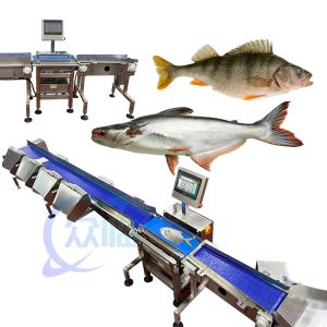 62m/min Speciality Fish Weight Grader Live Fish Weight Sorting Machine Computer