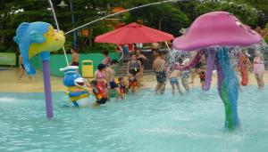 Wholesale Fiberglass Fish Spray Park Water Equipment For Children / Kids Amusement Water Park from china suppliers