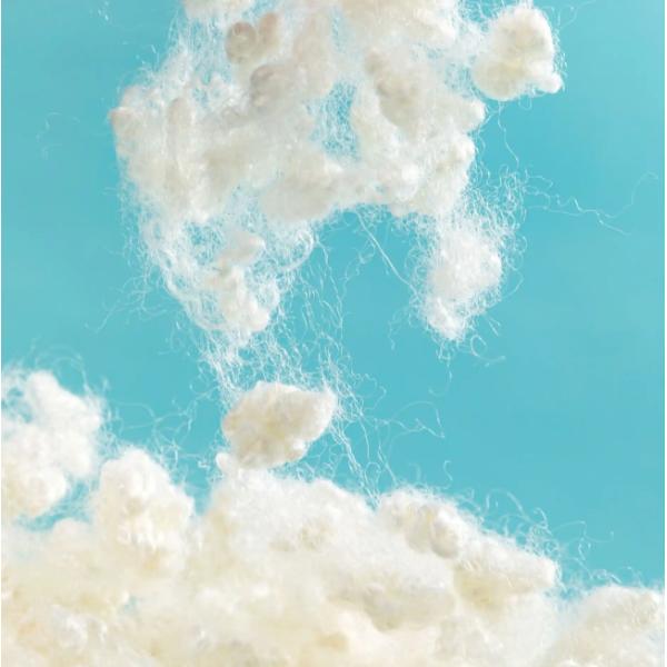 Anti-Static Nylon Staple Fiber for Spinning with High-Tenacity and Elasticity in Textiles