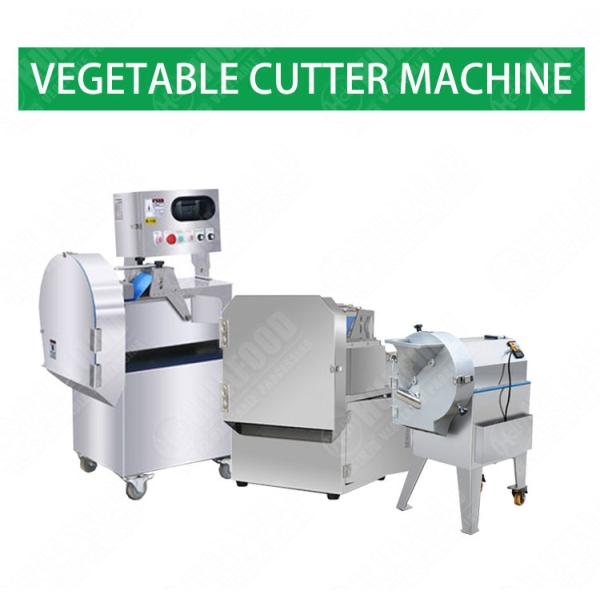 1000kg/h Multifunction Vegetable Cutting Machine Fruit And Vegetable Slicer Cutter