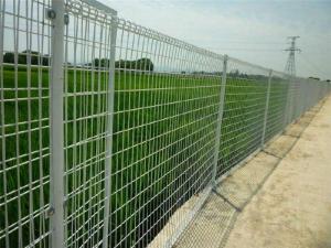 Wholesale Steel PVC Coated 3D Fence Panel / Security Wire Fencing Plastic Bag Packing from china suppliers