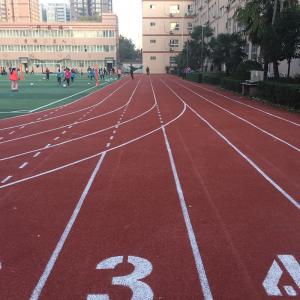 China Anti Slip Rubber Running Track / Indoor Running Track Flooring Durable on sale