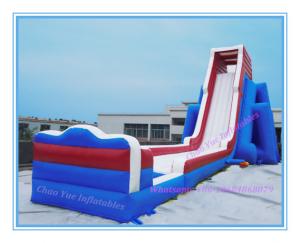 Wholesale 2015 Giant Inflatable Water Pool Slide for Amusement Park (CY-M2131) from china suppliers