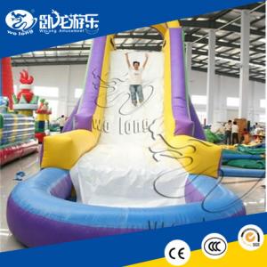 Wholesale big simple inflatable water slide for commercial from china suppliers
