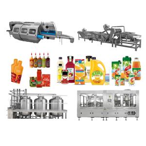 Wholesale Customized Industrial Blueberry Processing Machinery Production Solutions from china suppliers