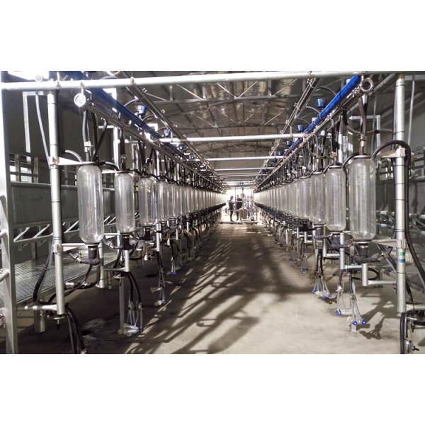 Automatic Vacuum 2100L Herringbone Milking Parlor with Sunction Function