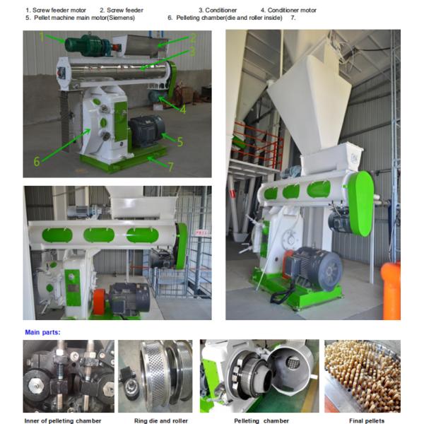 1t/H 2t/H Poultry Feed Pellet Mill With Ring Die