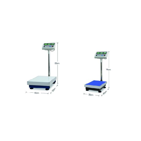 Precision Platform Electronic Weighing Scale 30KG - 300KG Bench Scale For Packaging Line