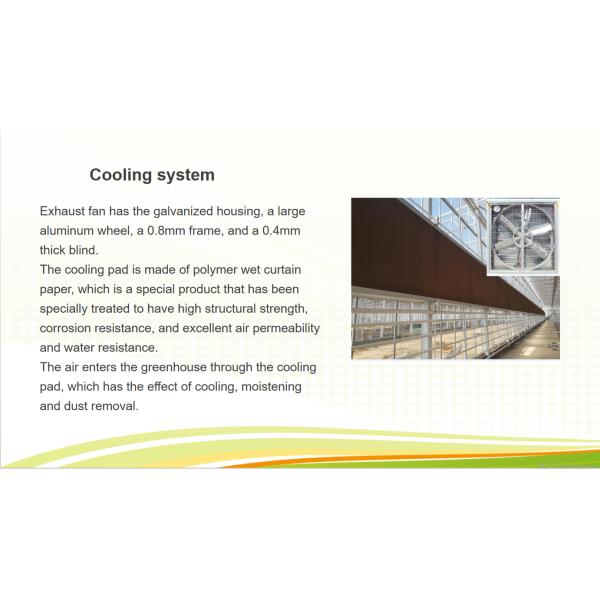 Large Multi Span Hydroponic PC Sheet Greenhouse Snow Resistance Sturdy Structure
