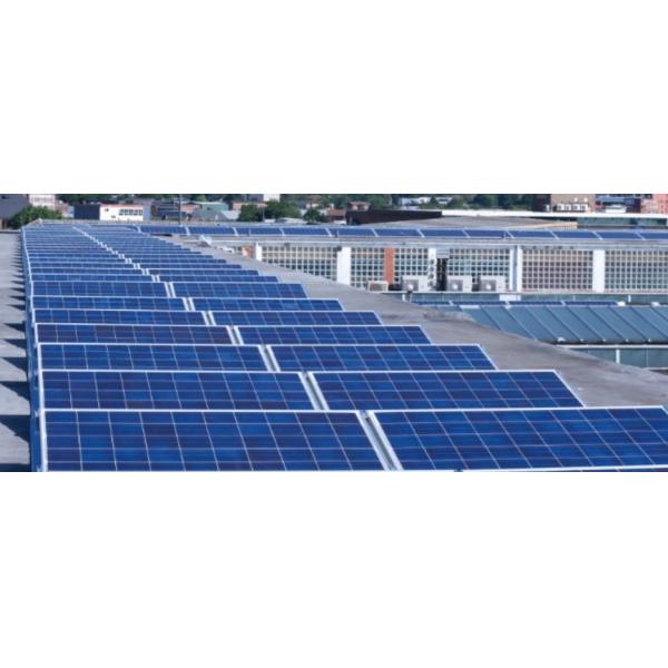 Customized 800W 48 Volt Low Degradation High Efficiency Solar Panel Photovoltaic Panel