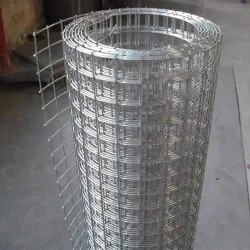 China Manufacturer of 1/4 1/2 3/4 1 2 Inch Mesh Galvanized Welded Wire Mesh for