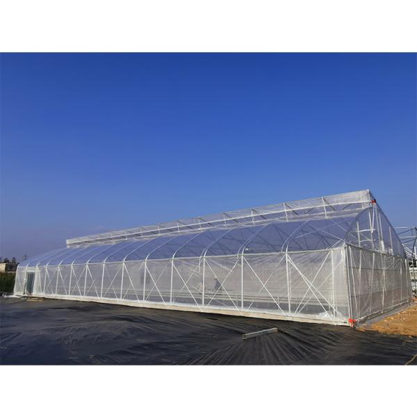 UV Resistant Single Span Greenhouse 200 Micron Plastic Film Long Lasting