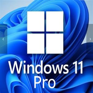 China Windows 11 Professional 1 User Key For Small Businesses Enhanced on sale