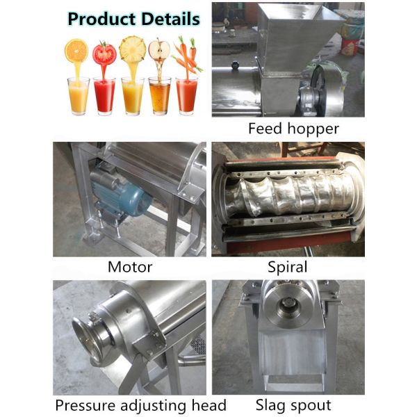 Fruit Apple Watermelon Mango Pineapple Juicer Extractor Machine Stainless Steel