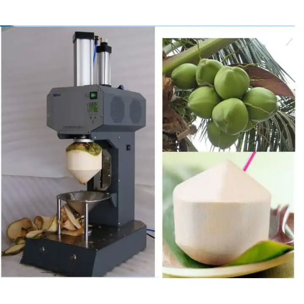 220V Food Processing Machines Electric Automatic Coconut Skin Peeling Machine