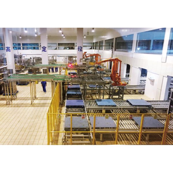 Two Way Radio Shuttle Cart And Carrier ASRS Automatic Storage And Retrieval System Pallet Runner Rack System