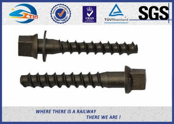 Quality Hot Dip Galvanised Railway Track Spikes Screw Spikes ZhongYue for sale