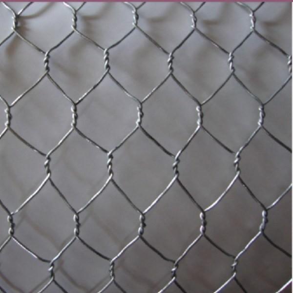 Quality Gabion Mesh Pvc Coated Hexagonal Wire Netting 1/2" 2" 2.0-4.0mm Gauge Iron Wire for sale