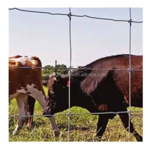 Height 0.8-2.4m Hexagonal Mesh Wire Netting for Chicken Coop and Farm Animal