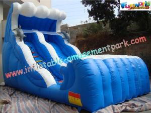 China Large Inflatable Slides double lane made of 0.55mm PVC tarpaulin for rental, commercial on sale