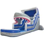 Allowable Passenger 10 Inflatable Water Slide with Pool Digital Printing
