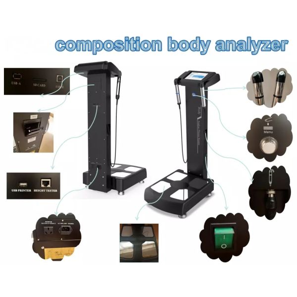 OEM / ODM Body Analyzer Machine Customized With A4 Color Paper Printer