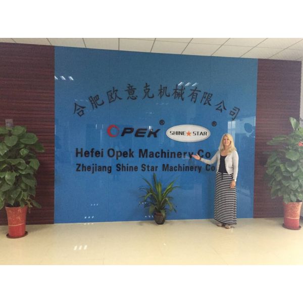 High Speed Cap Overlock Sewing Direct Drive Industrial Sewing Machine