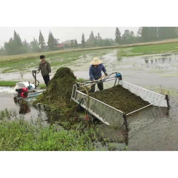 High Efficiency Aquatic Weed Harvester for River Cleaning Algae Cutting