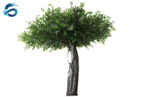 Wholesale Fiberglass Artificial Ficus Tree Handmade Technics Distinctly Visual Effects from china suppliers