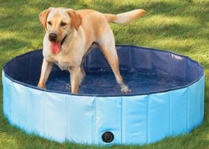 China Dog Paddling Pool on sale