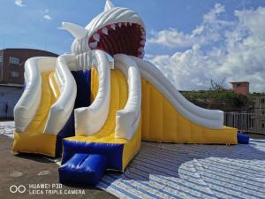 China Giant Shark Commercial Inflatable Water Slides / Triple Lanes Adults Water Slide on sale
