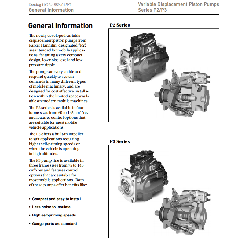 High-pressure Piston Pump PD100PS02SRS5AC00S1000000