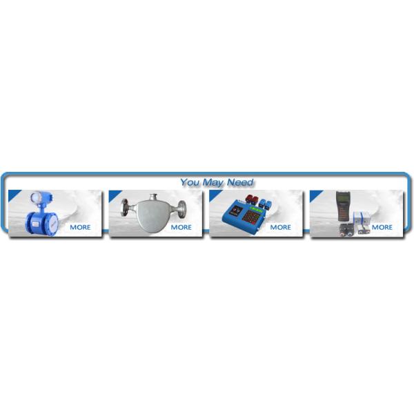 KMF100 SS316L Explosion Proof Coriolis Mass Flow Meter with ±0.15% Accuracy