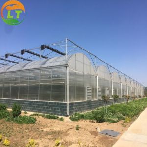 Wholesale Vegetables Growing Multi-span Film Greenhouse 3m Height with Hot-dip Galvanized Pipe from china suppliers