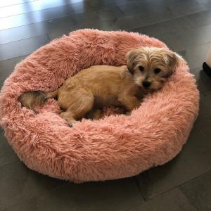 Wholesale Fluffy Brown Pink Anti Anxiety Dog Bed 50cm 60cm 70cm Diameter Dog Mattress Bed Calming Dog Bed Donut Cat Bed from china suppliers