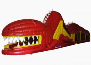 Wholesale Big Inflatable The Crocodile Obstacle Course / Outdoor Games Inflatable The Crocodile Bouncer from china suppliers