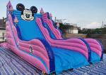 24 Foot Giant Mickey Mouse / Disney Land Inflatable Dry & Wet Bouncer Castle