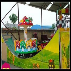 China New  amusement park rides kids track rides double wave sliding car fairground rides on sale