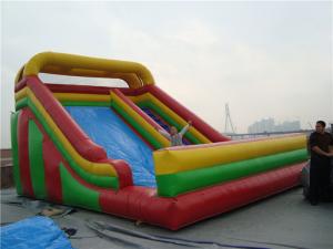 Wholesale Garden Double Large Inflatable Slide Party Rentals Muti Colored Wear Resistance from china suppliers