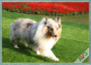 China UV Resistant Dog Pet Artificial Turf / Synthetic Grass Eco Friendly Installation on sale