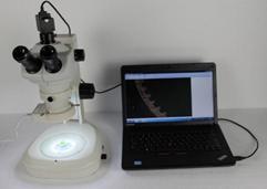 Wholesale 5MP Digital CCD Metallographic Image Analysis System H3000 from china suppliers