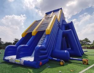 Wholesale Giant Commercial Inflatable Water Slides Cartoon Theme For Adults from china suppliers