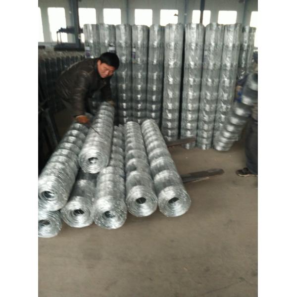 Hot Dipped Galvanized Tightlock Wire Mesh Security Fence Netting For Deer Fence