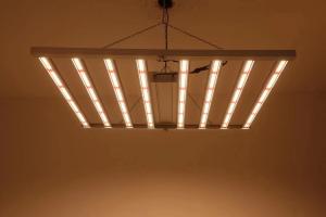 Wholesale Foldable 8T Greenhouse Grow Lights 800W 1000w Hps from china suppliers